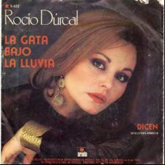 La Gata Bajo la Lluvia