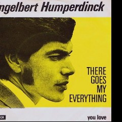 There Goes My Everything