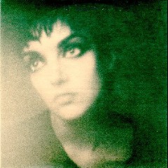 This Mortal Coil