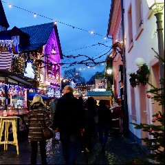 ddreins...weihnachtsmarkt