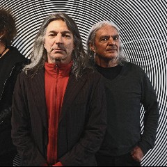 The Young Gods