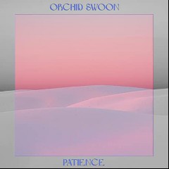 Orchid Swoon