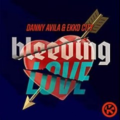 Danny Avila & Ekko City