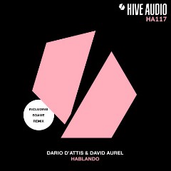 Dario D’Attis & David Aurel
