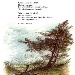 Who Has Seen The Wind