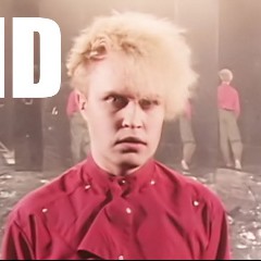 A Flock Of Seagulls I Ran