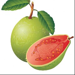 Guayaba