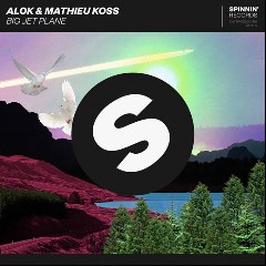 Alok & Mathieu Koss