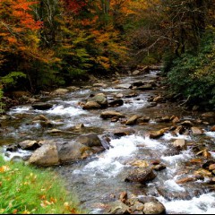 Babbling Brook