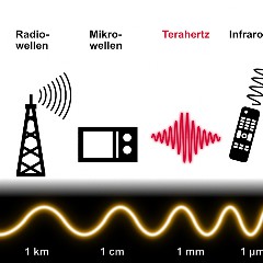 TerraHertz