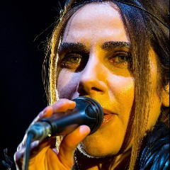 PJ Harvey