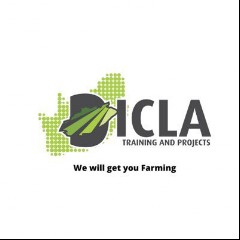 DICLA