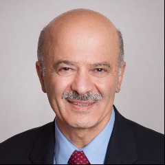 Reza Moridi