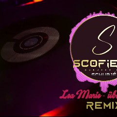 Scofield and Schubjé Records