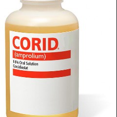 Corrid