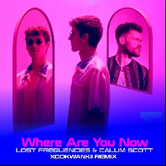 Lost Frequencies, Calum Scott & Kungs