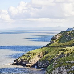 Orme