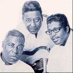 Bo Diddley, Muddy Waters & Little Walter