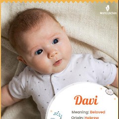 DAVI, Definition