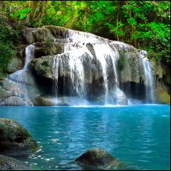 Relaxing Sounds of Nature Relaxing