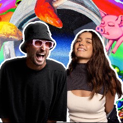 Kita Alexander & Fisher