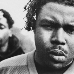Organized Konfusion
