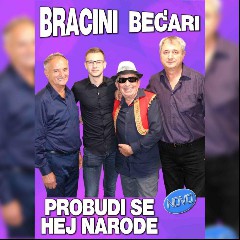 Bracini becari