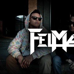 FelMax