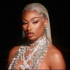 Megan The Stallion