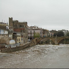 Daro