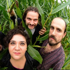 Zea Mays