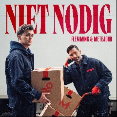 FLEMMING & Metejoor