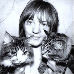 Steve Marriott