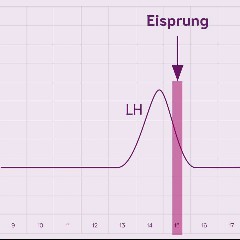 LH