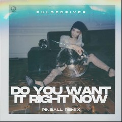 Pinball & Pulsedriver