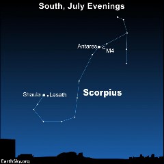 Scorpius