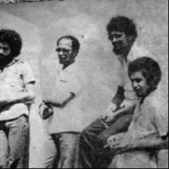 Os Tubarões