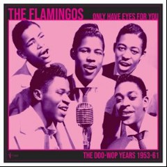 The Flamingos