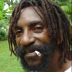 Rasta Man