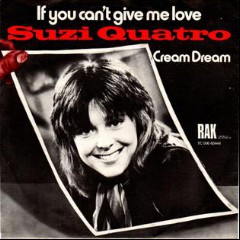 If you can't give me love