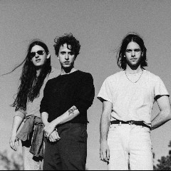 Beach Fossils