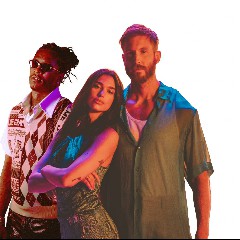 Calvin Harris, Dua Lipa & Young Thug