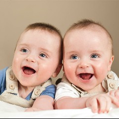 The Twins