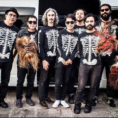 Sonido Gallo Negro