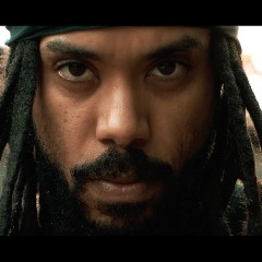 Lion D