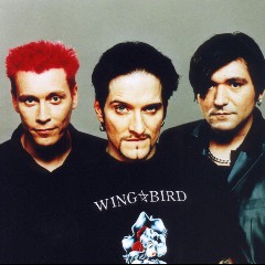 Die Ärzte