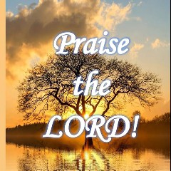 Praise The Lord