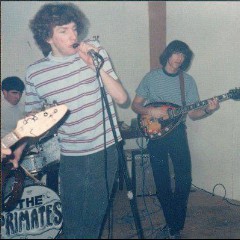 The Primates