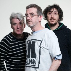 The Bluebells