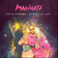 Tito El Bambino, Pitbull, El Alfa